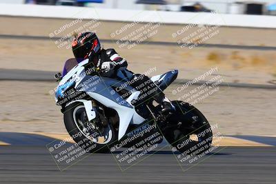 media/Jan-08-2022-SoCal Trackdays (Sat) [[1ec2777125]]/Turn 14 Outside (1050am)/